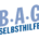 BAG Selbsthilfe Logo